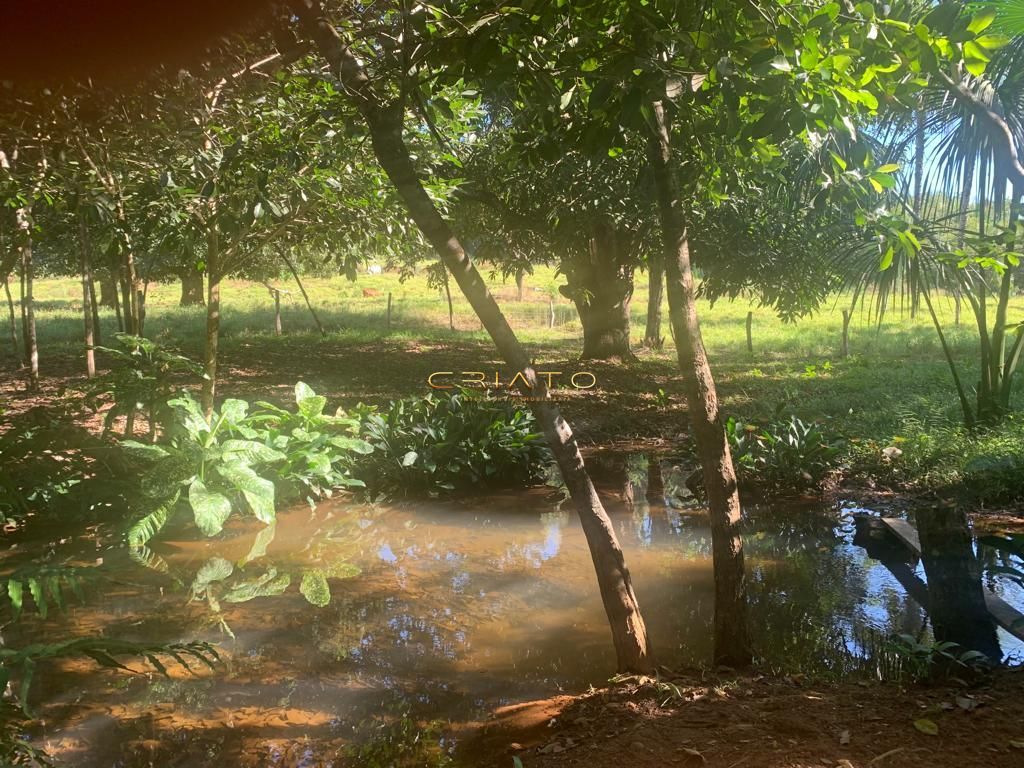 Sítio à venda com 2 quartos, 620000m² - Foto 29