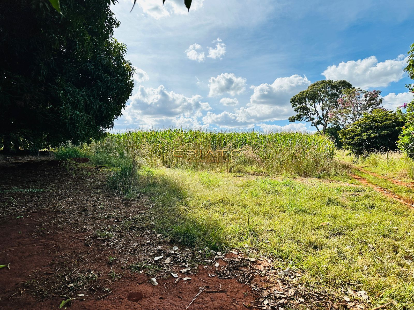 Fazenda à venda com 2 quartos, 40000m² - Foto 22