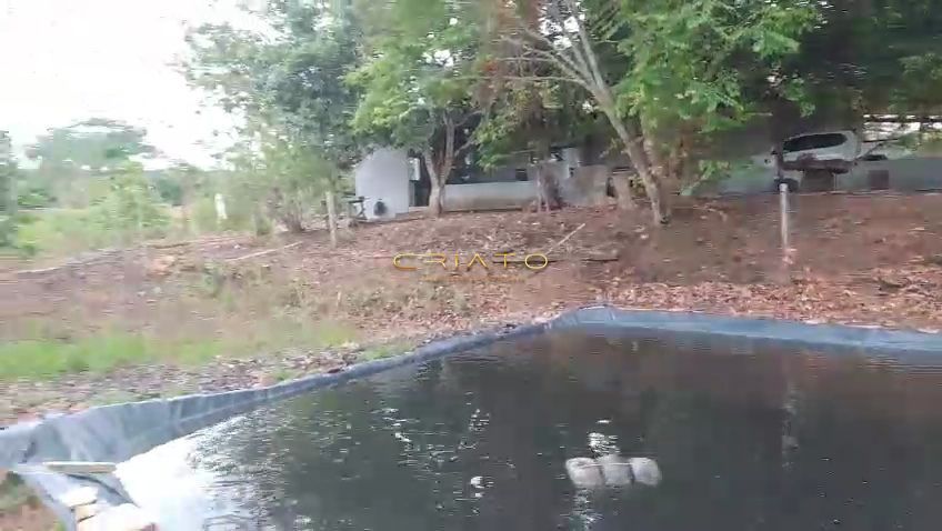 Sítio, 3 quartos, 2 hectares - Foto 5