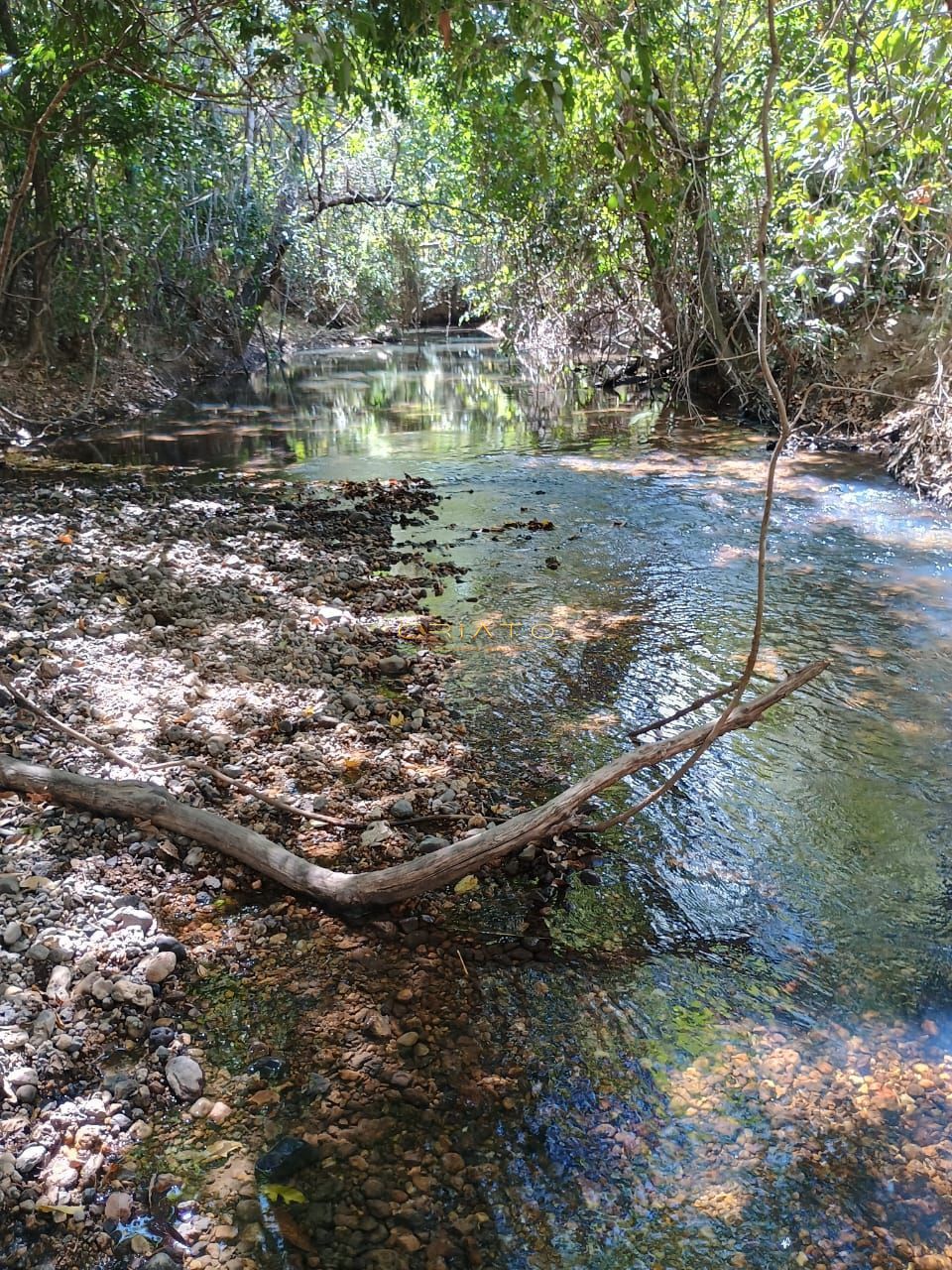 Fazenda à venda com 2 quartos, 5390000m² - Foto 20