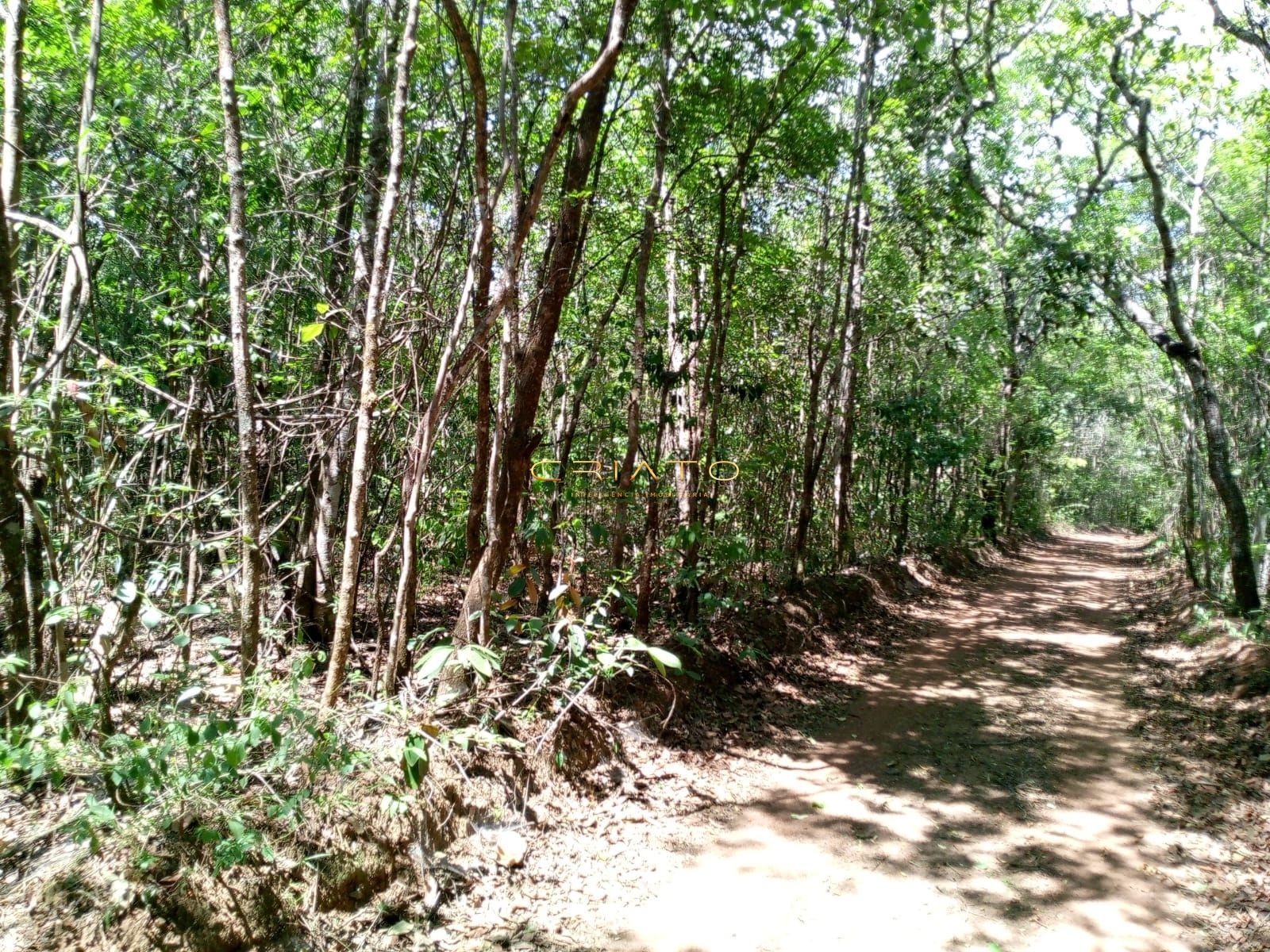 Fazenda/sítio/chácara/haras à venda  no Área Rural de Abadiânia - Abadiânia, GO. Imóveis