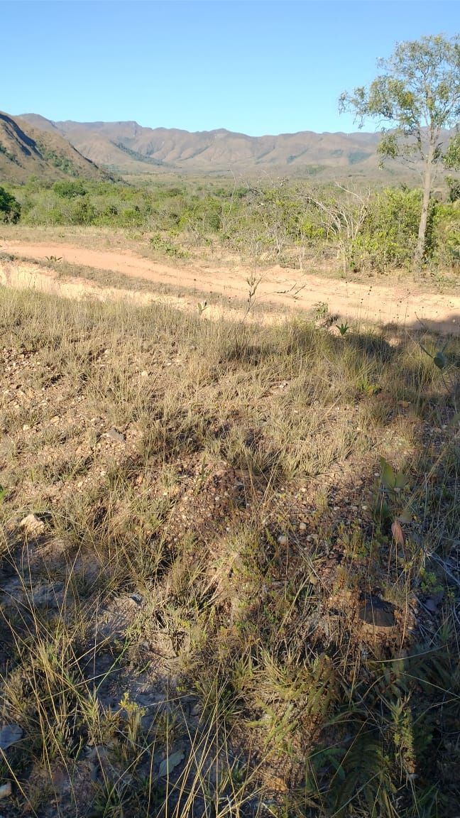 Fazenda à venda com 2 quartos, 80m² - Foto 19