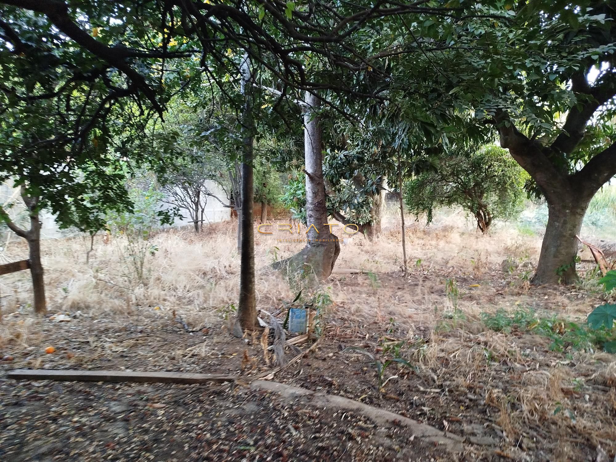 Loteamento e Condomínio à venda, 1100m² - Foto 9