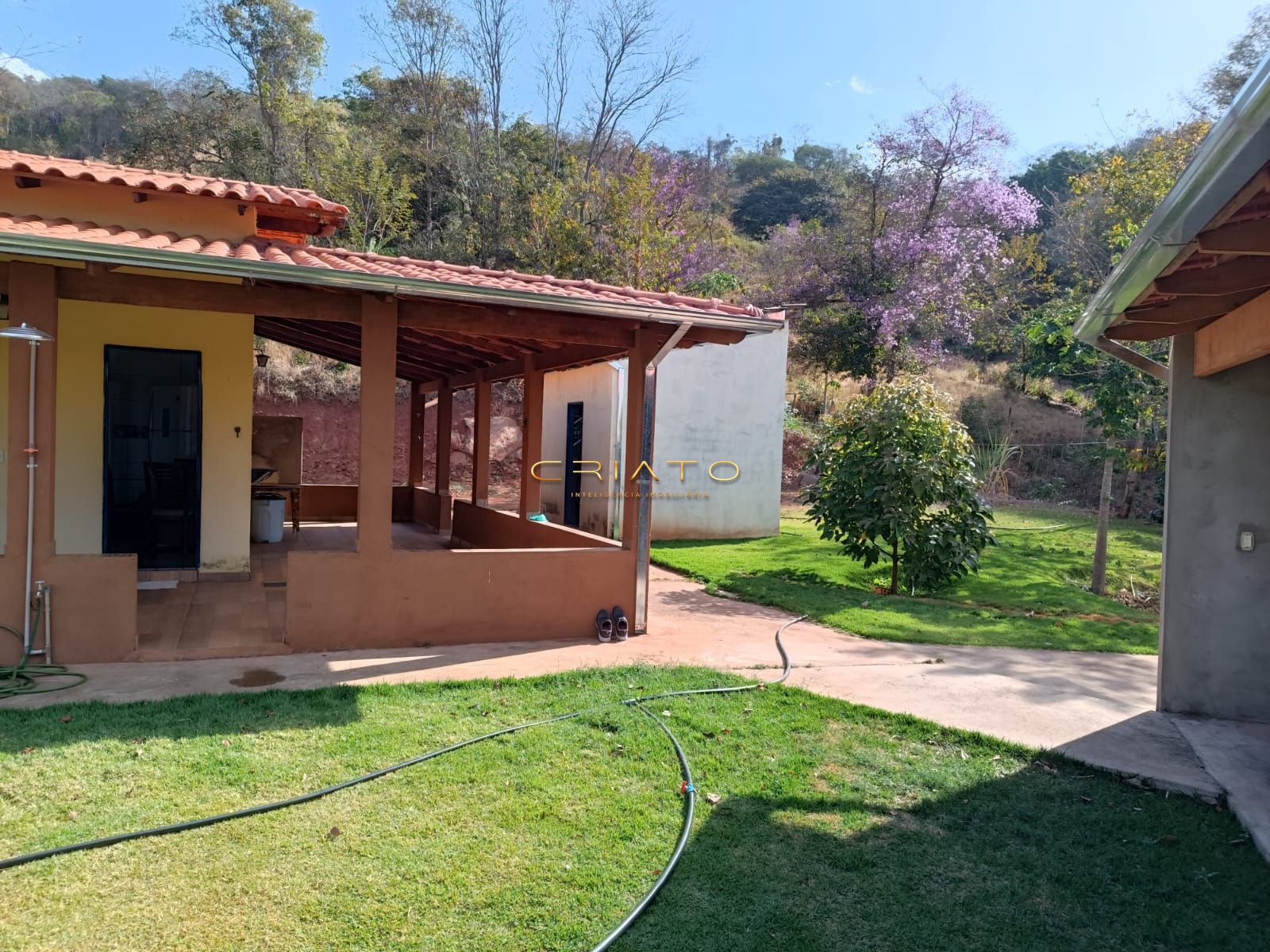 Fazenda à venda com 3 quartos, 12500m² - Foto 7