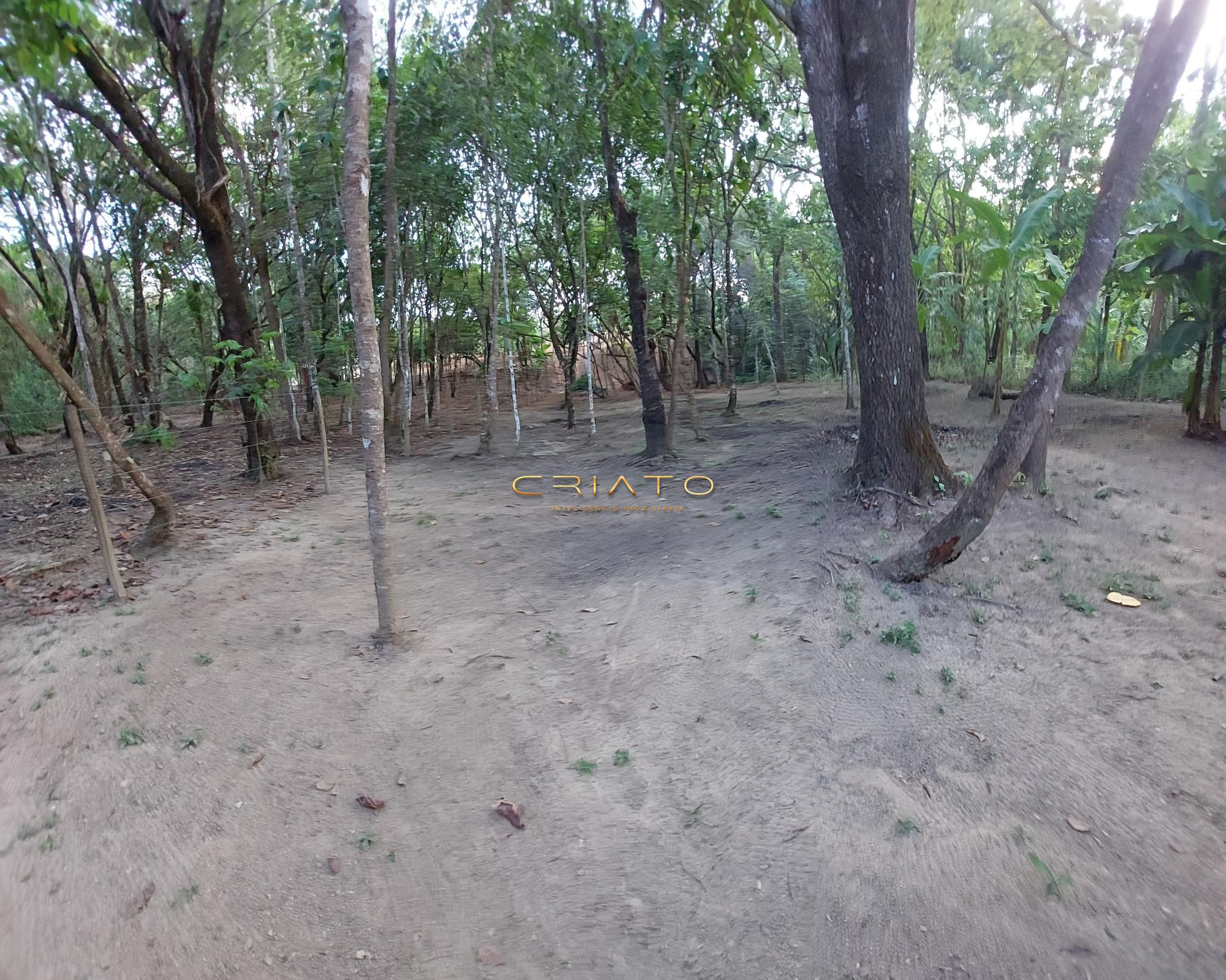Fazenda à venda com 2 quartos, 3700m² - Foto 28