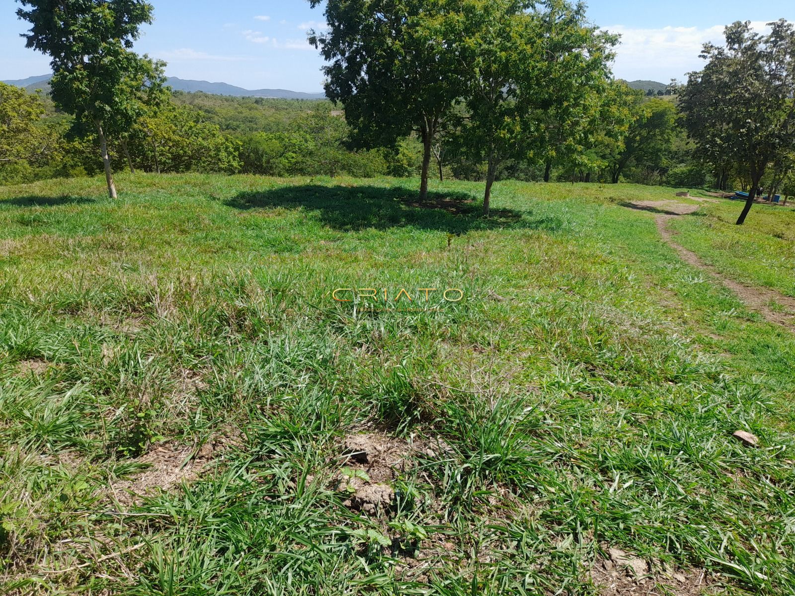 Fazenda, 145 hectares - Foto 12