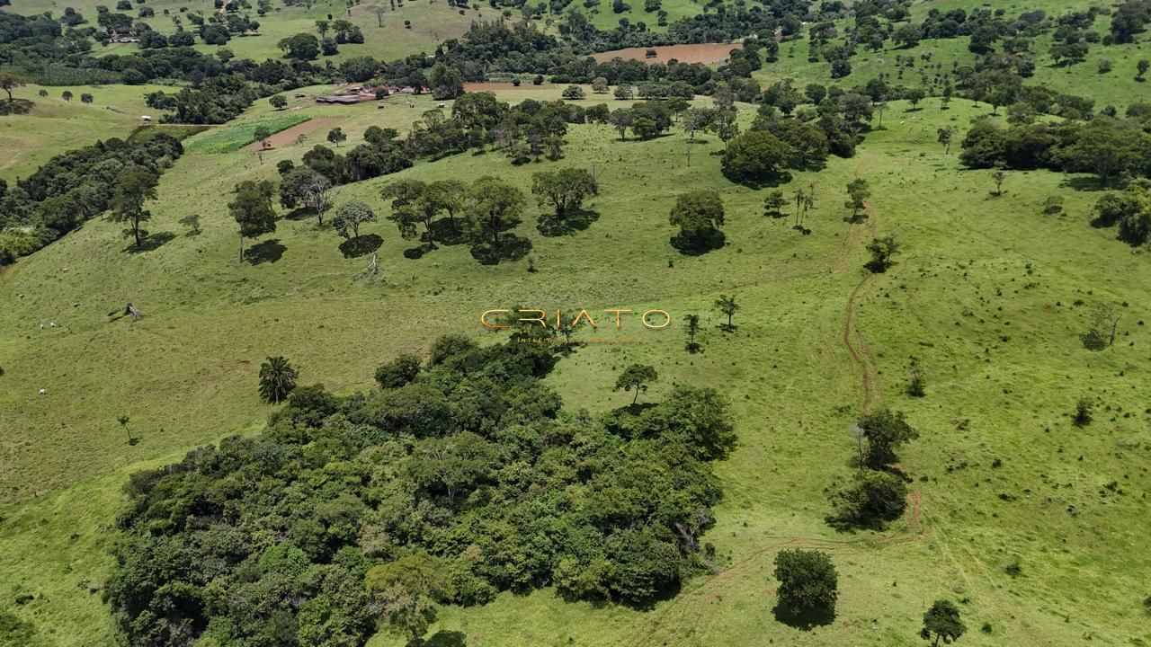 Fazenda, 44 hectares - Foto 3