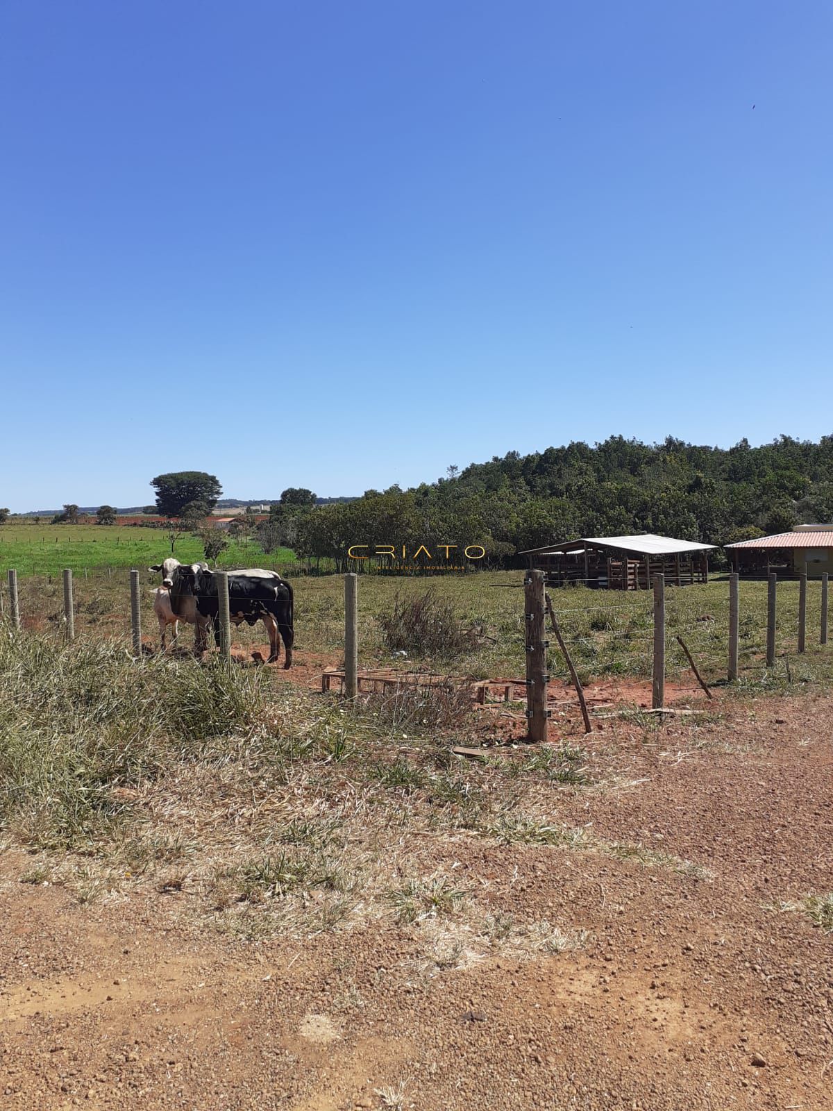 Fazenda à venda com 3 quartos, 20000m² - Foto 13