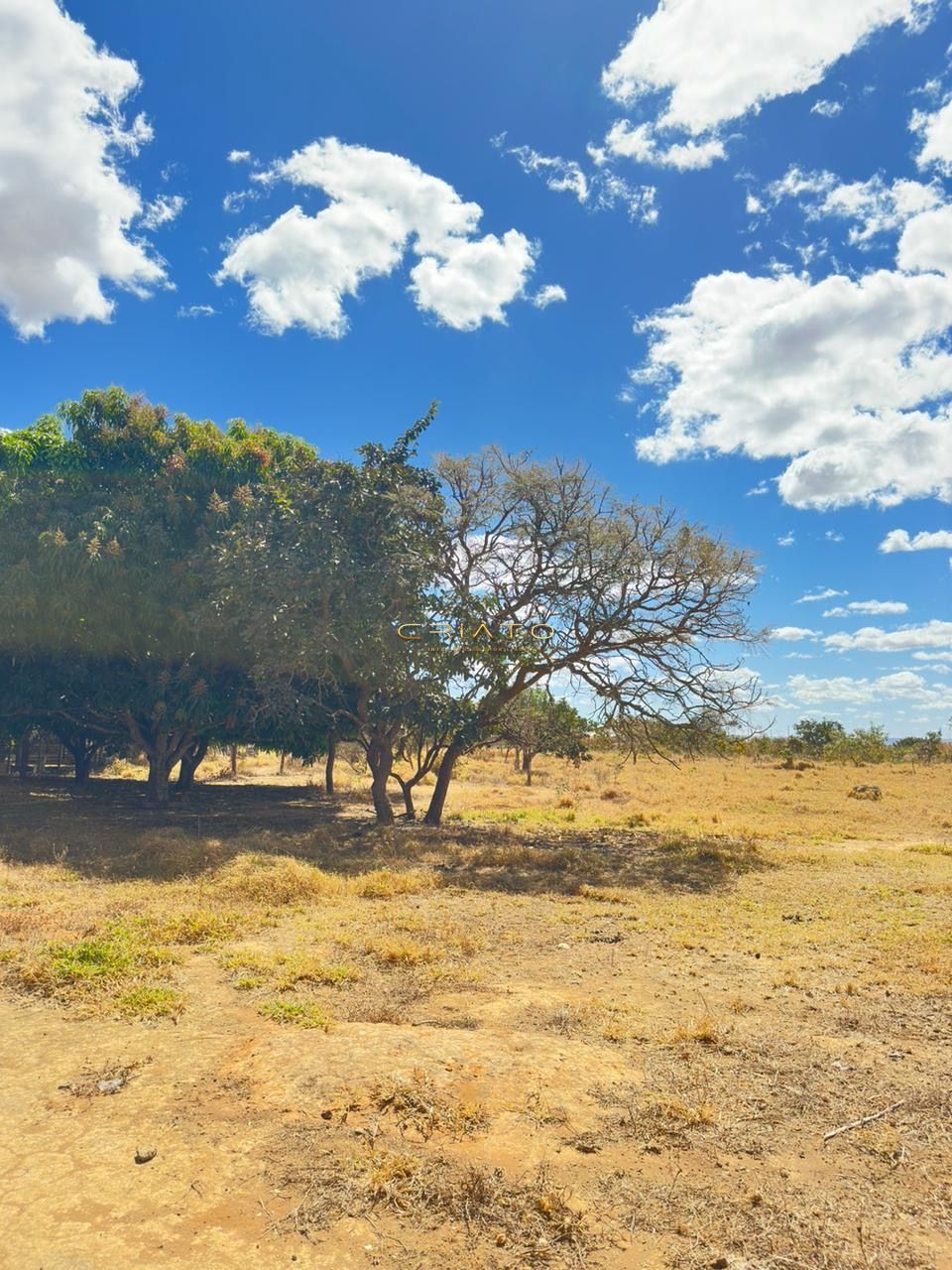 Terreno à venda, 480m² - Foto 5