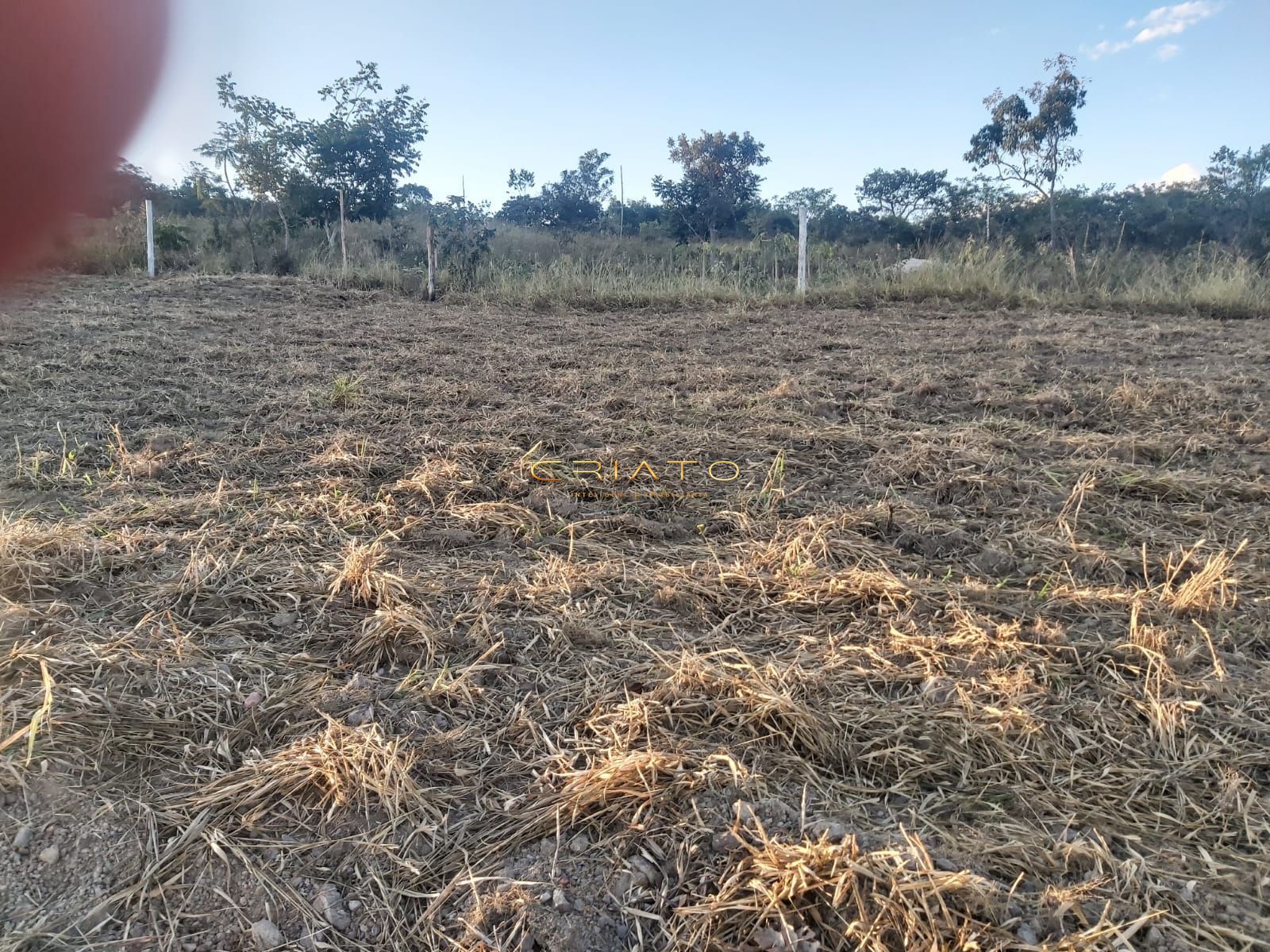 Loteamento e Condomínio à venda, 12500m² - Foto 9