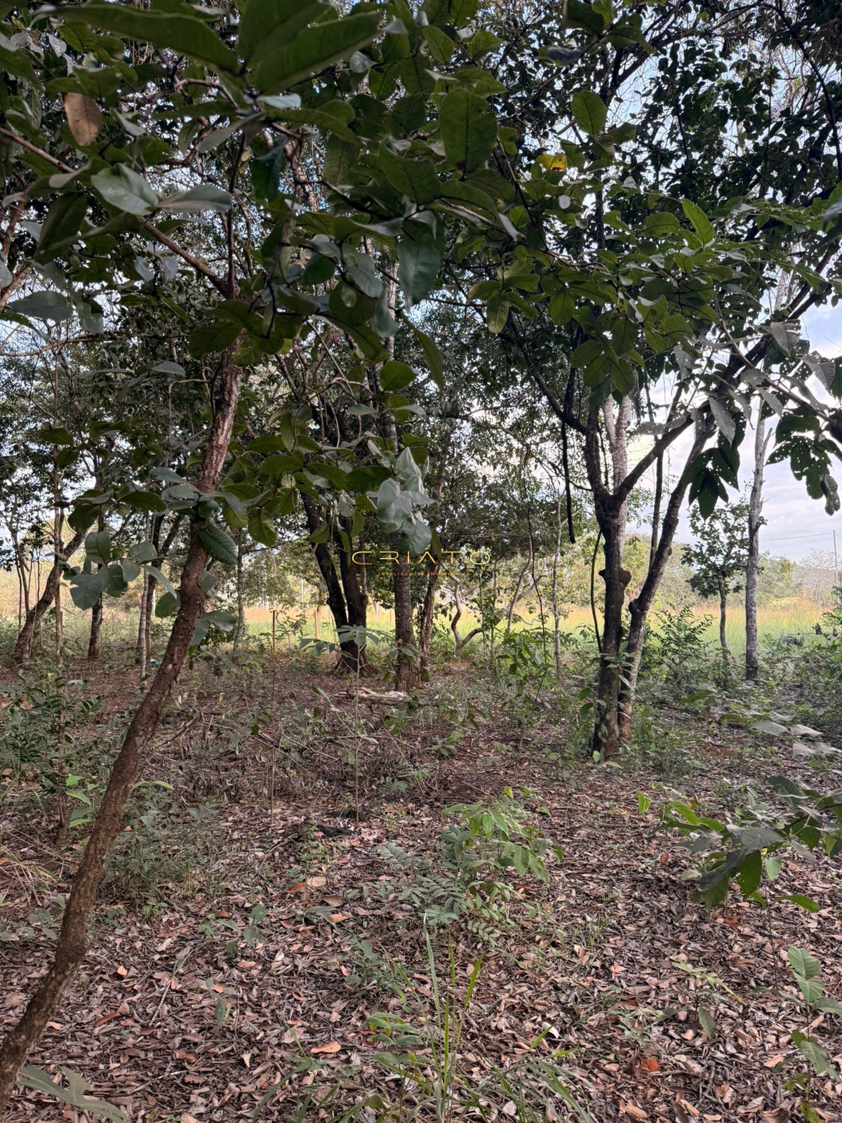 Terreno, 1000 m² - Foto 2