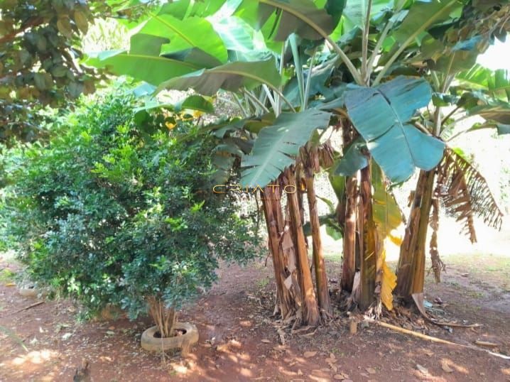 Chácara à venda com 3 quartos, 160m² - Foto 14