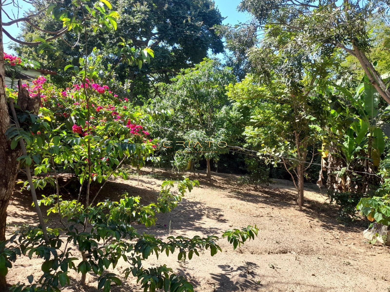 Fazenda, 145 hectares - Foto 9