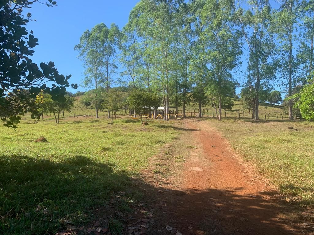 Sítio à venda com 2 quartos, 620000m² - Foto 14