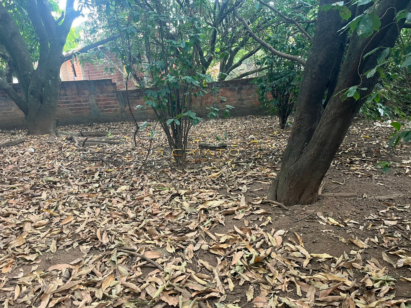 Terreno, 3200 m² - Foto 11