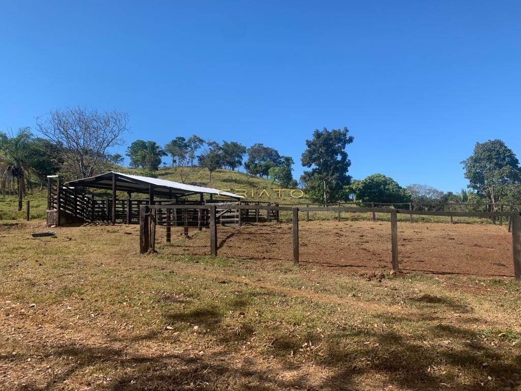 Sítio à venda com 2 quartos, 620000m² - Foto 12