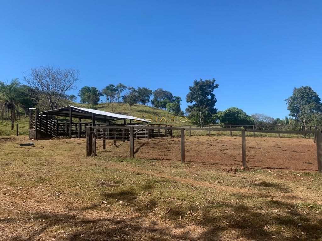 Fazenda à venda com 2 quartos, 620000m² - Foto 12