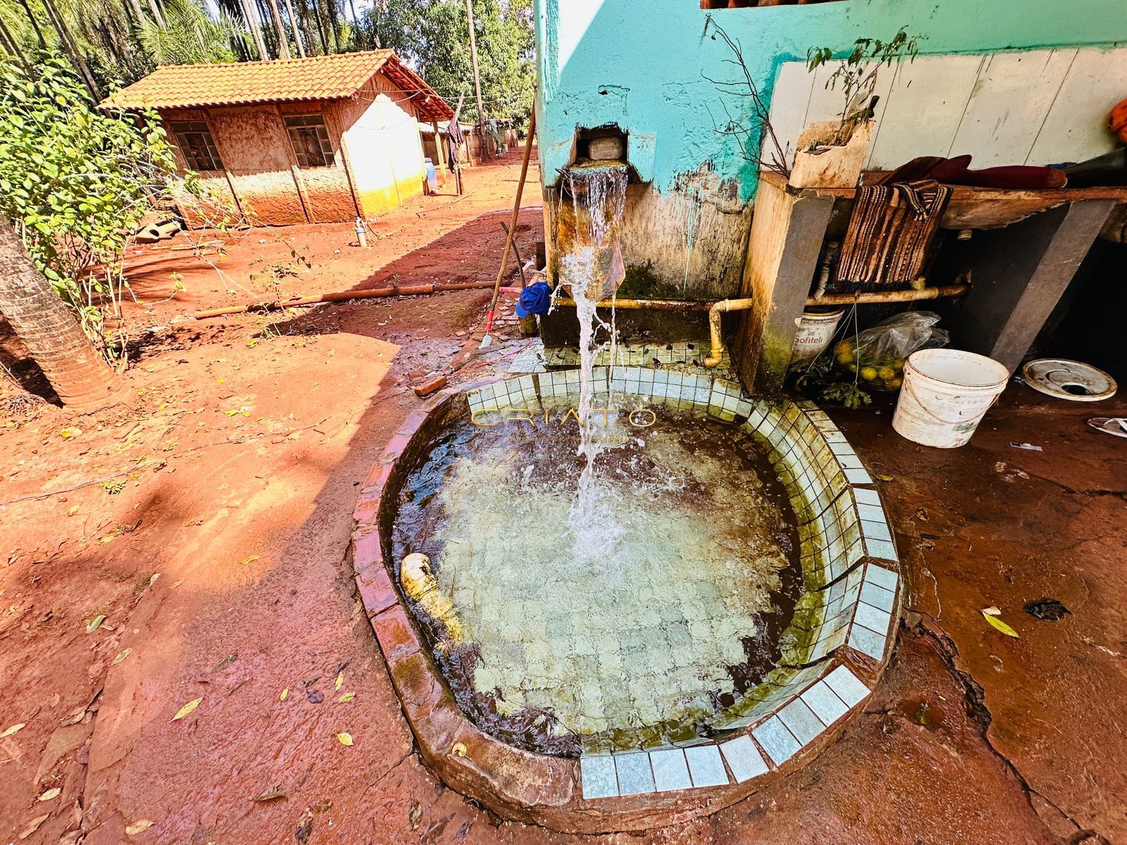 Fazenda à venda com 2 quartos, 40000m² - Foto 16