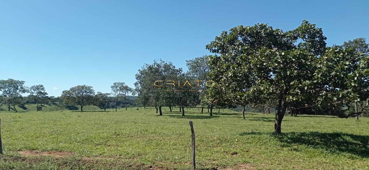 Fazenda à venda com 2 quartos, 240000m² - Foto 17