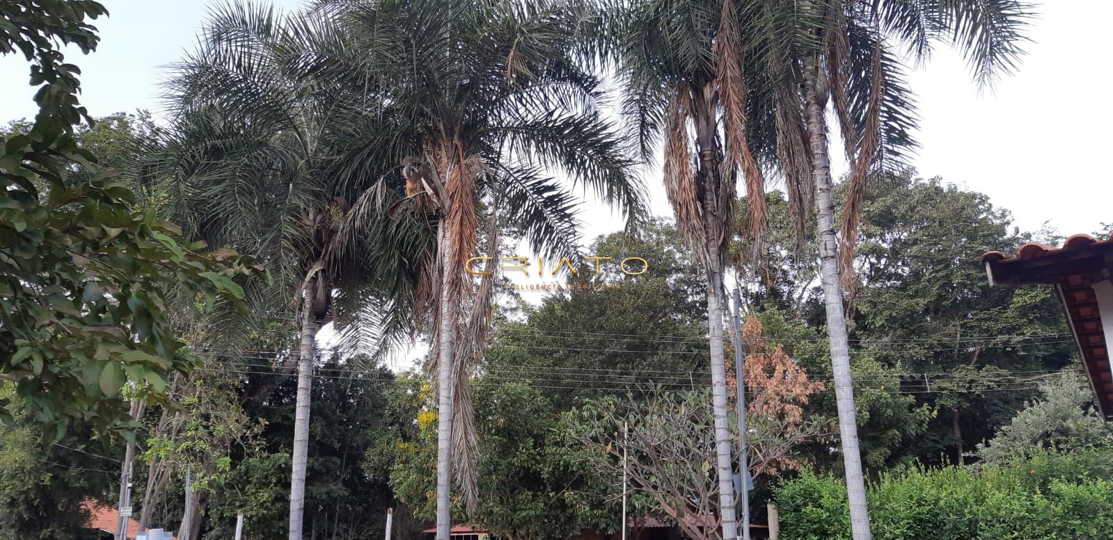 Chácara à venda com 2 quartos, 85m² - Foto 20