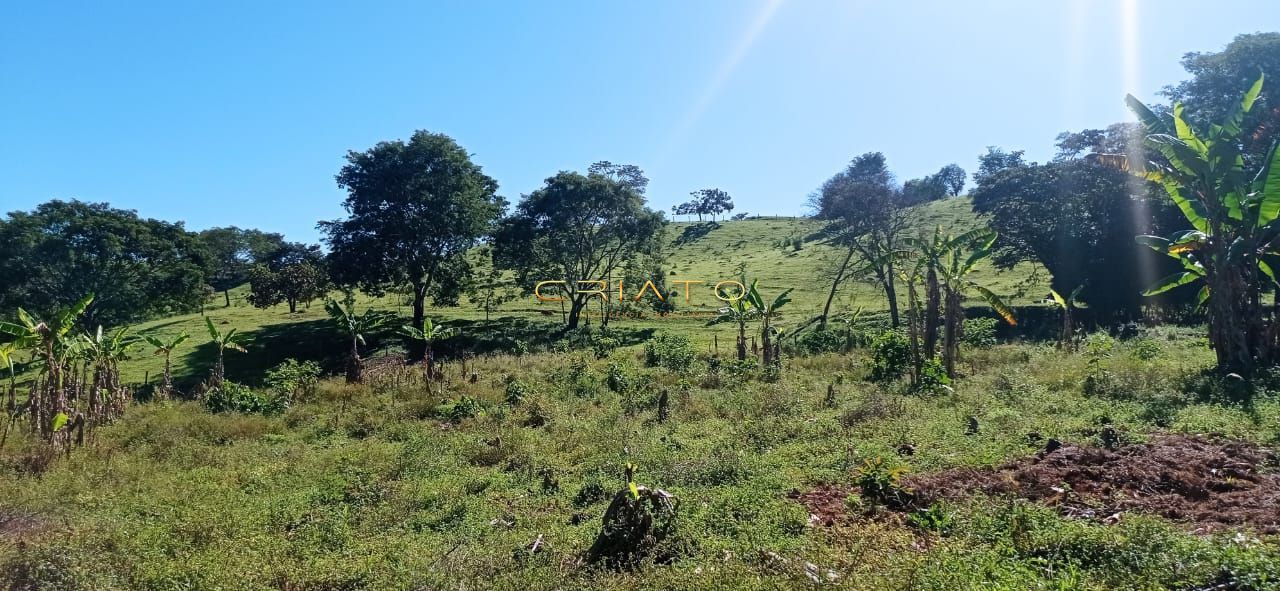 Fazenda à venda com 2 quartos, 240000m² - Foto 10