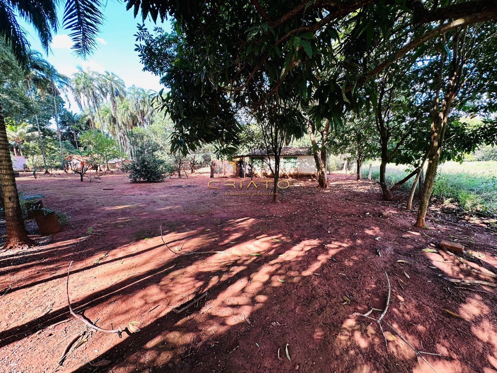 Fazenda à venda com 2 quartos, 40000m² - Foto 20