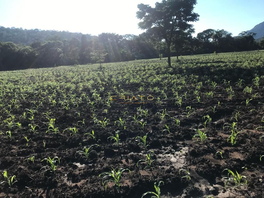 Terra pra pecuária 70 % permuta