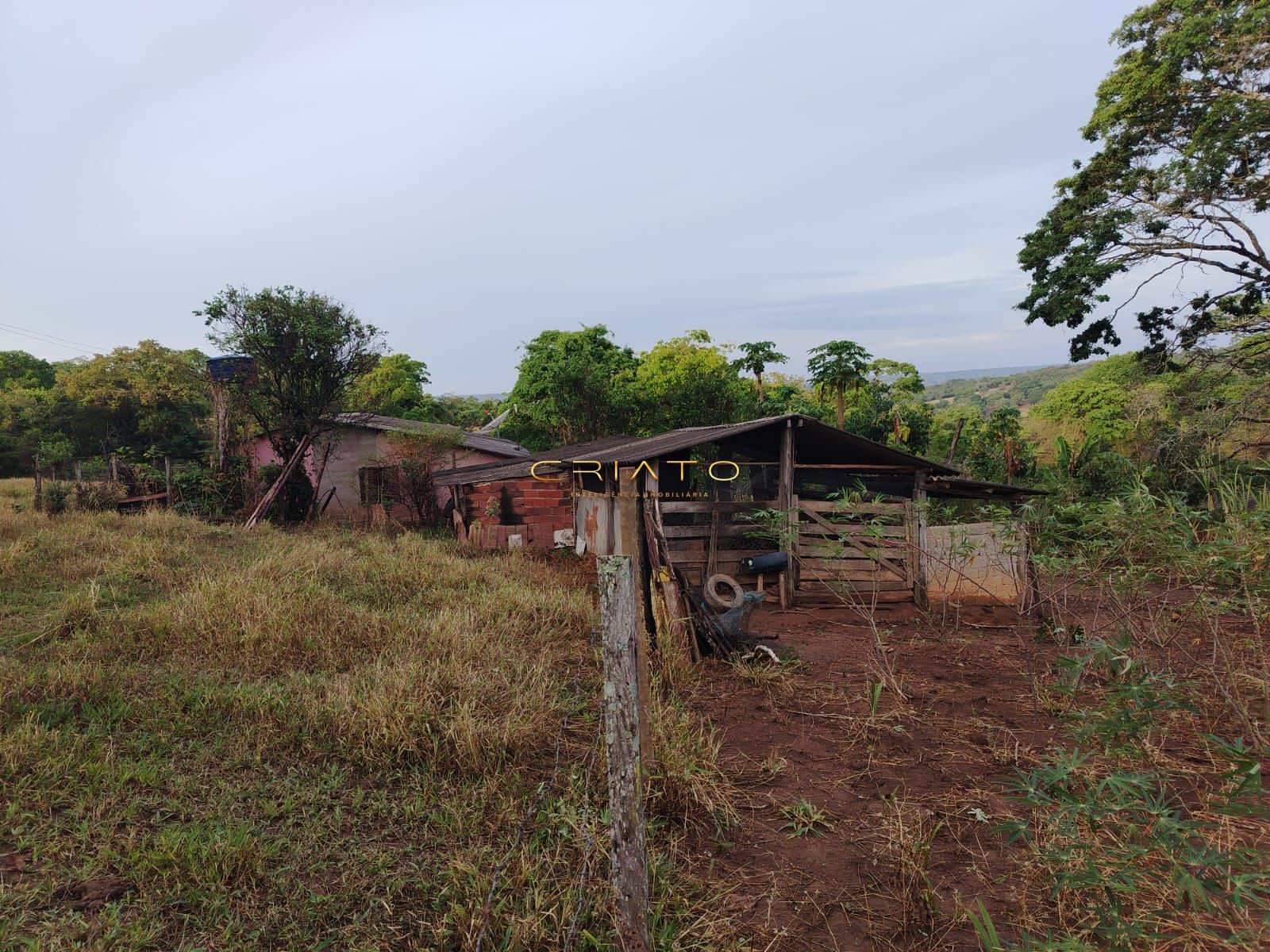 Fazenda à venda com 3 quartos, 5000m² - Foto 5