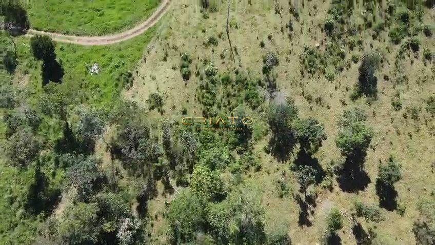 Sítio, 3 quartos, 2 hectares - Foto 12