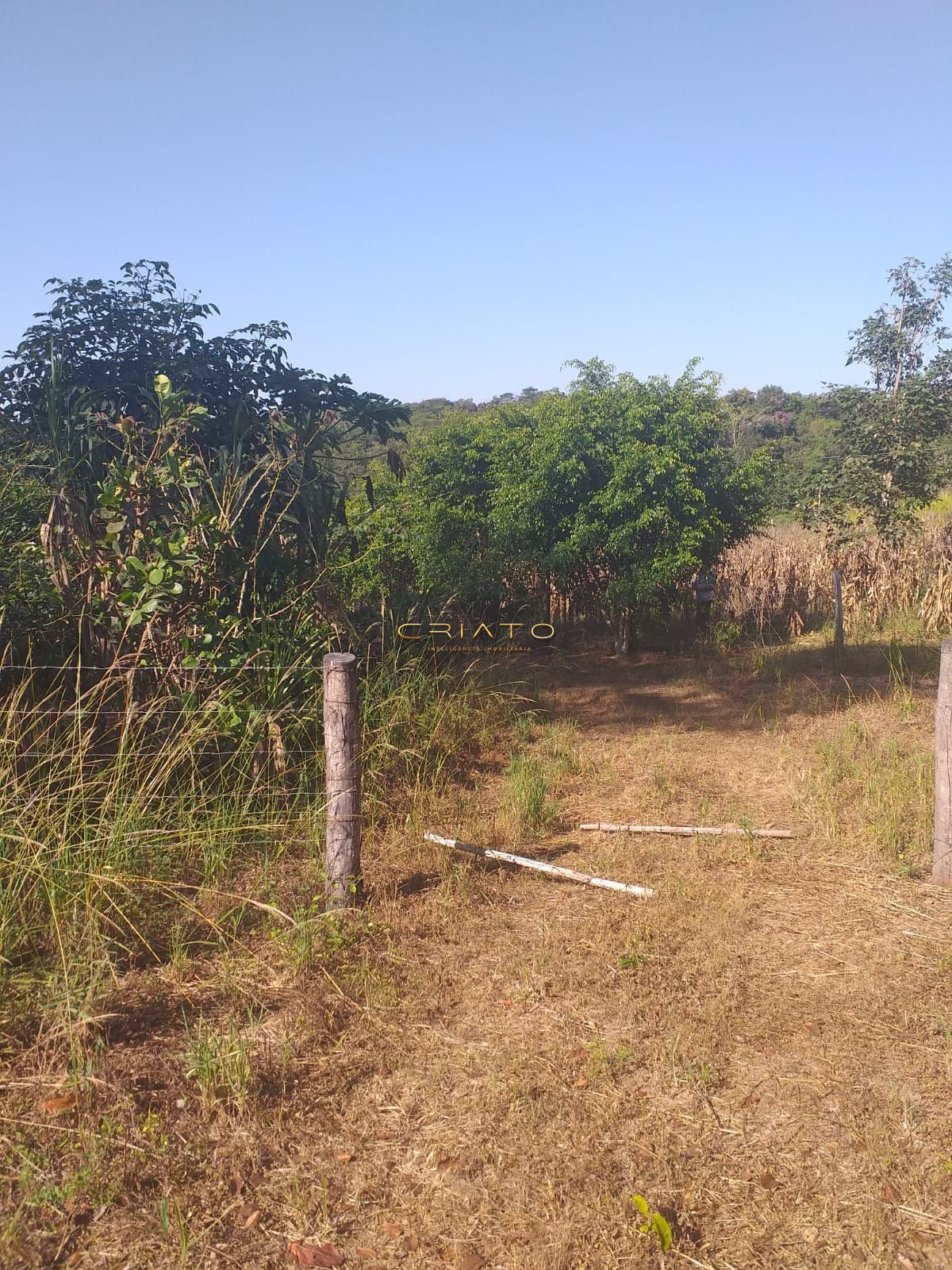 Chácara, 2 quartos, 12 m² - Foto 11