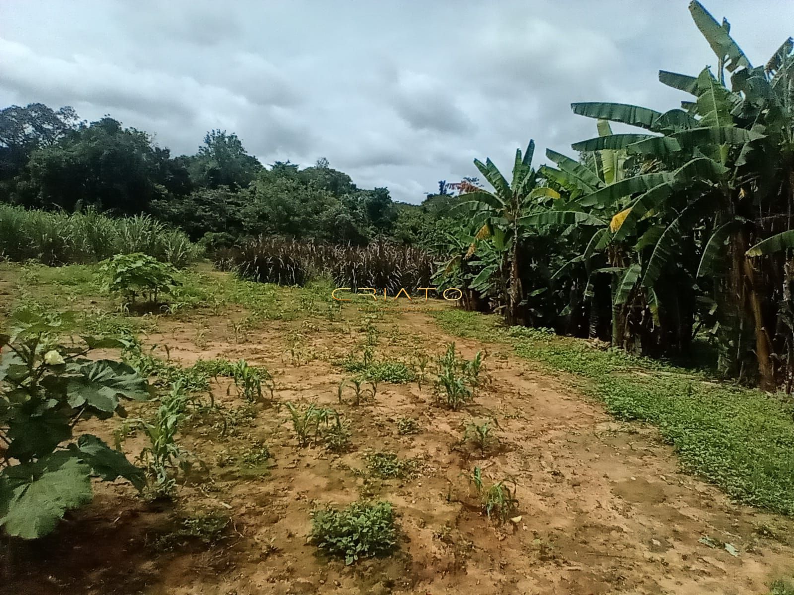 Fazenda/stio/chcara/haras  venda  no Zona Rural - Niquelndia, GO. Imveis