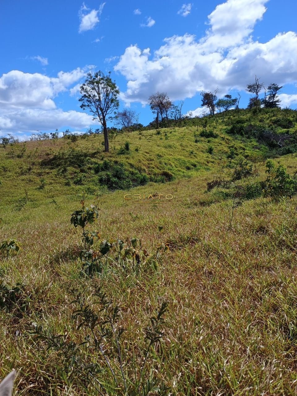 Fazenda à venda com 2 quartos, 5390000m² - Foto 35