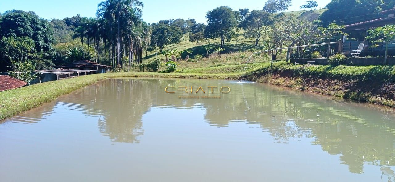 Fazenda à venda com 2 quartos, 240000m² - Foto 5