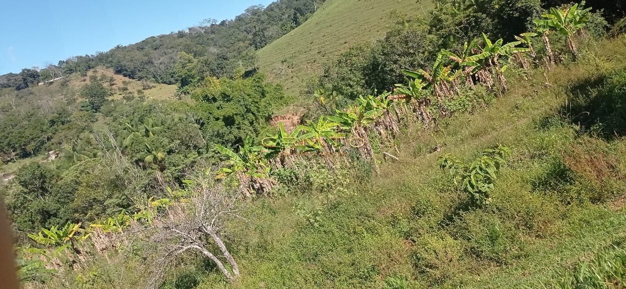 Fazenda à venda com 2 quartos, 240000m² - Foto 6