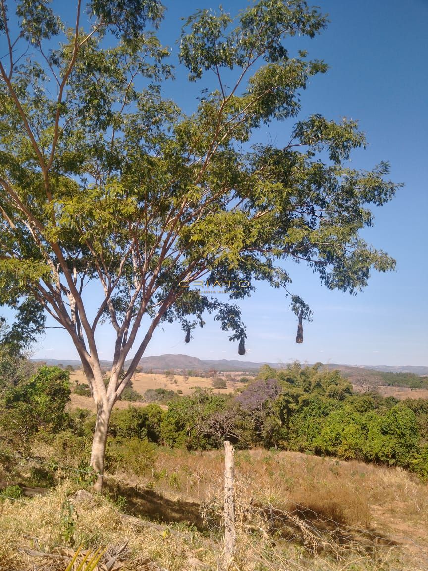 Fazenda à venda com 11 quartos, 504200m² - Foto 30
