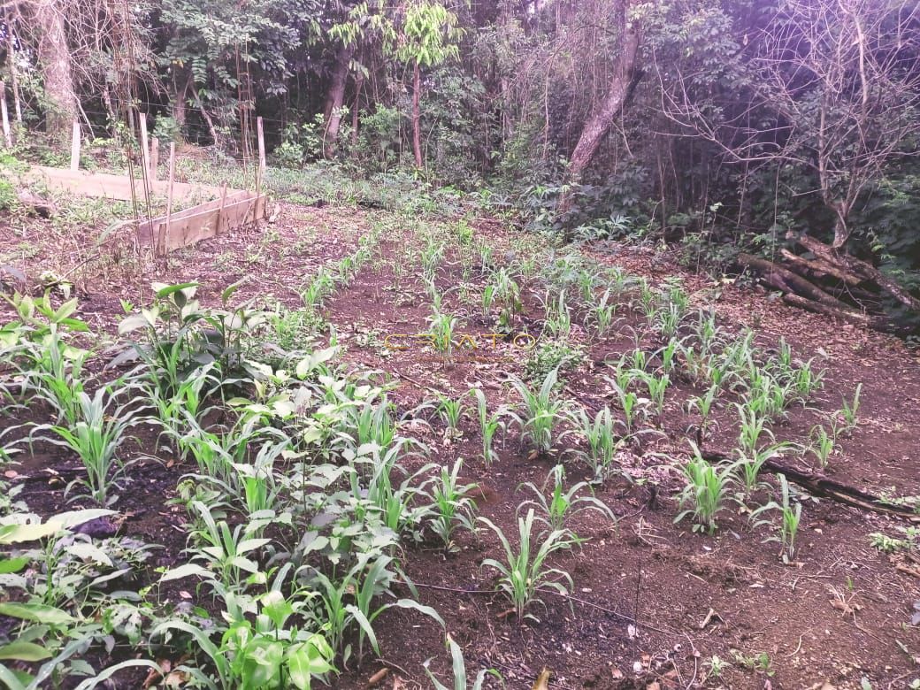 Loteamento e Condomínio à venda, 40m² - Foto 7