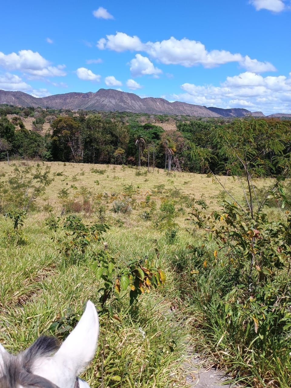 Fazenda à venda com 2 quartos, 5390000m² - Foto 21