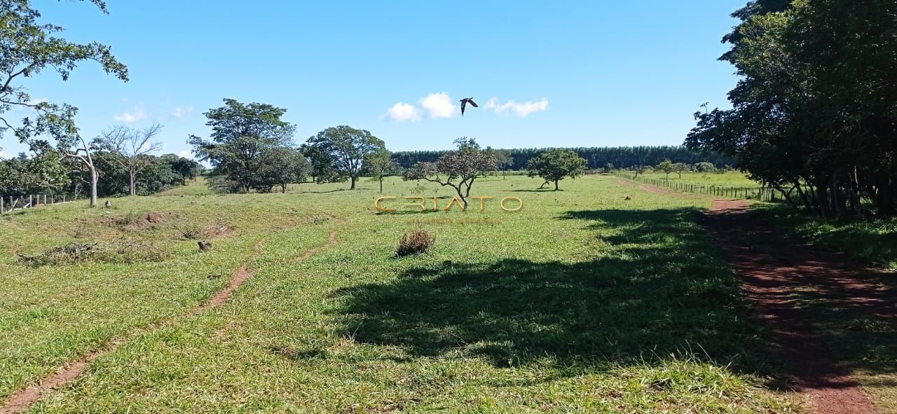 Fazenda à venda com 2 quartos, 240000m² - Foto 13