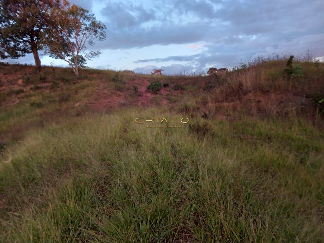 Fazenda à venda com 2 quartos, 36m² - Foto 15