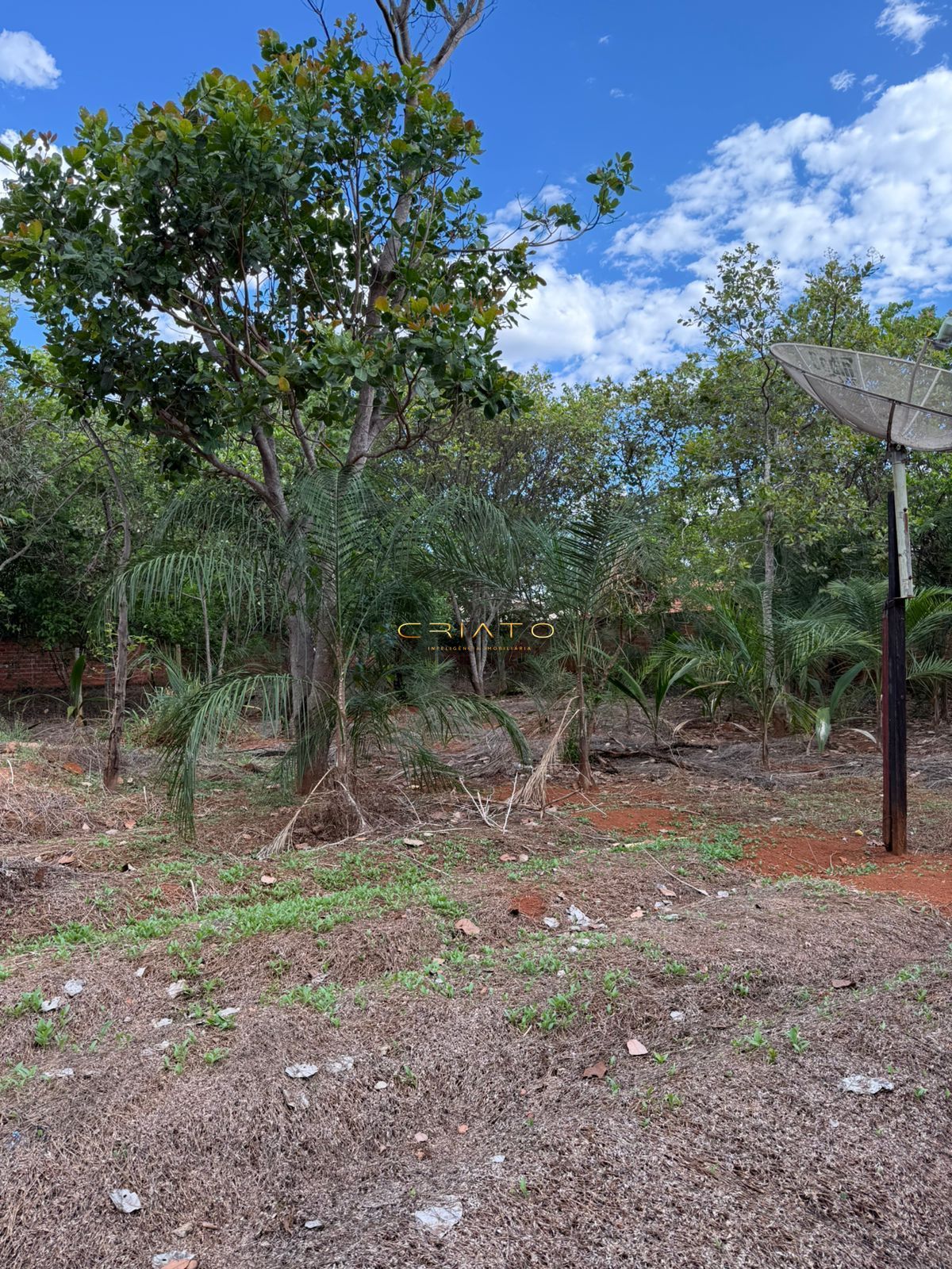 Terreno, 2631 m² - Foto 24