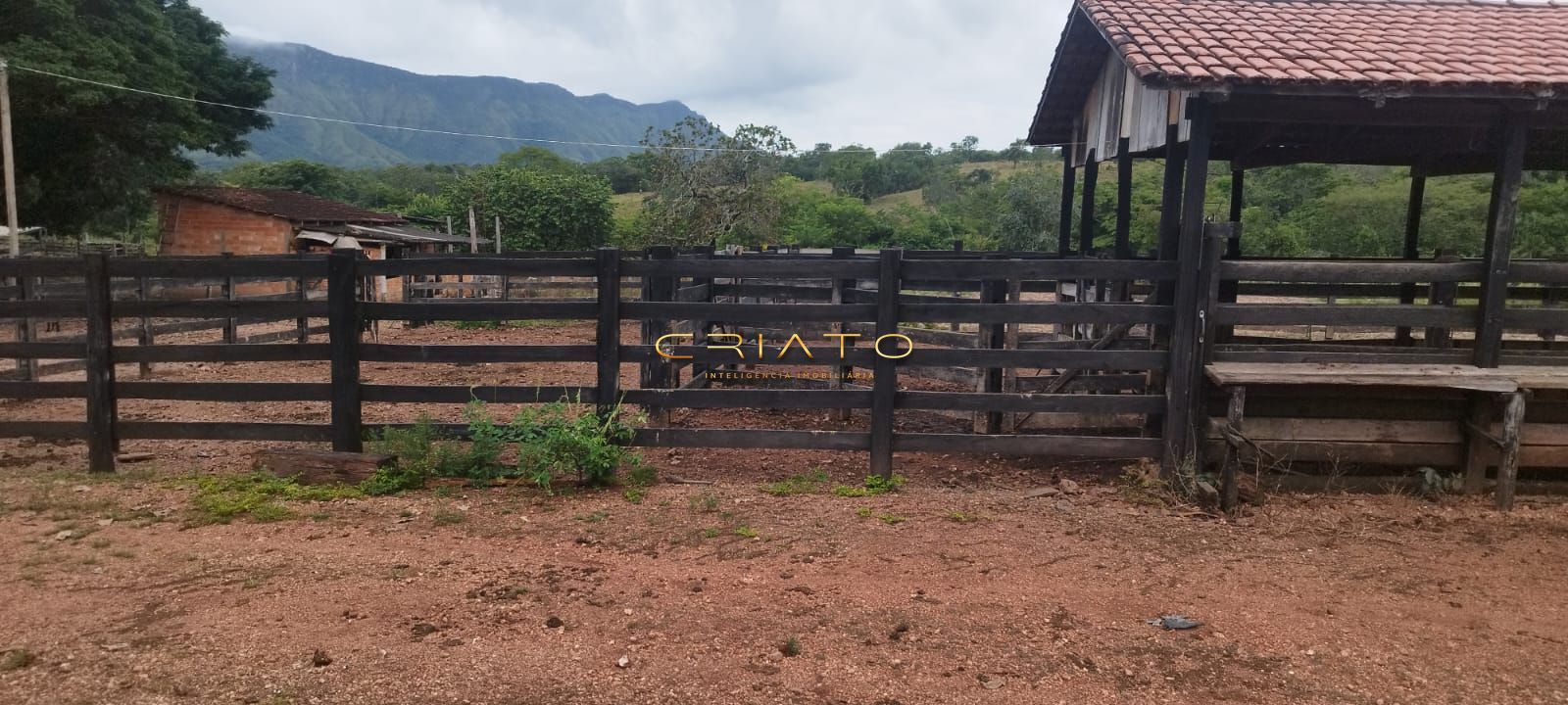 Fazenda à venda com 2 quartos, 5390000m² - Foto 33