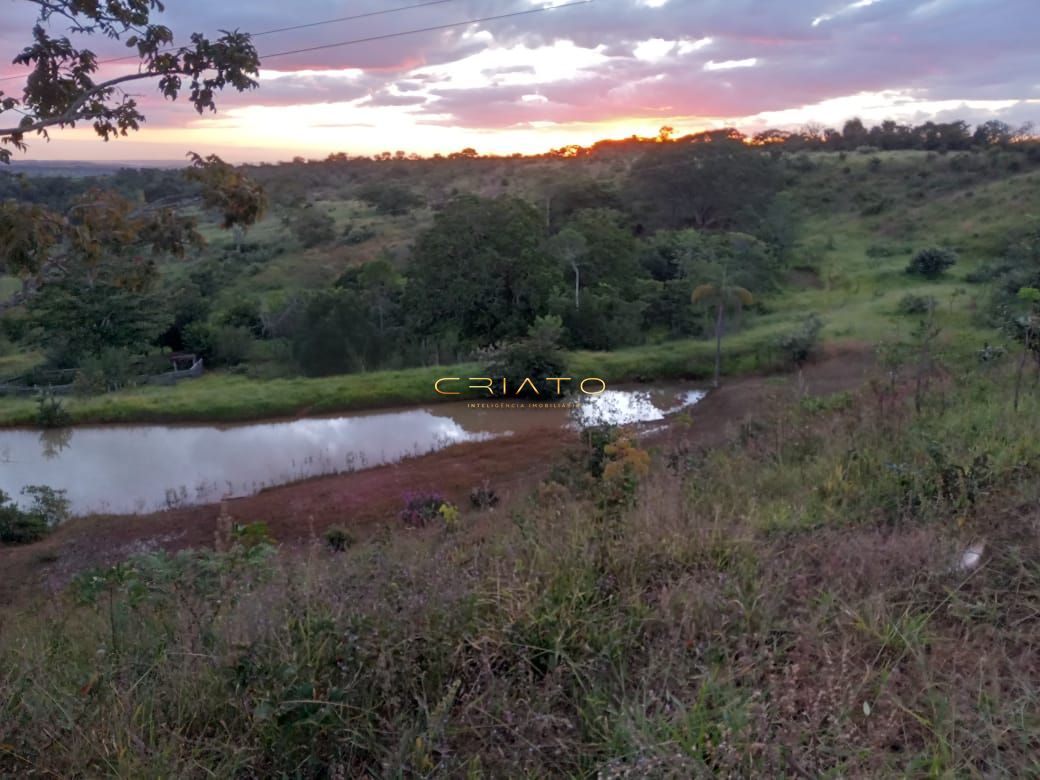 Fazenda à venda com 2 quartos, 36m² - Foto 8