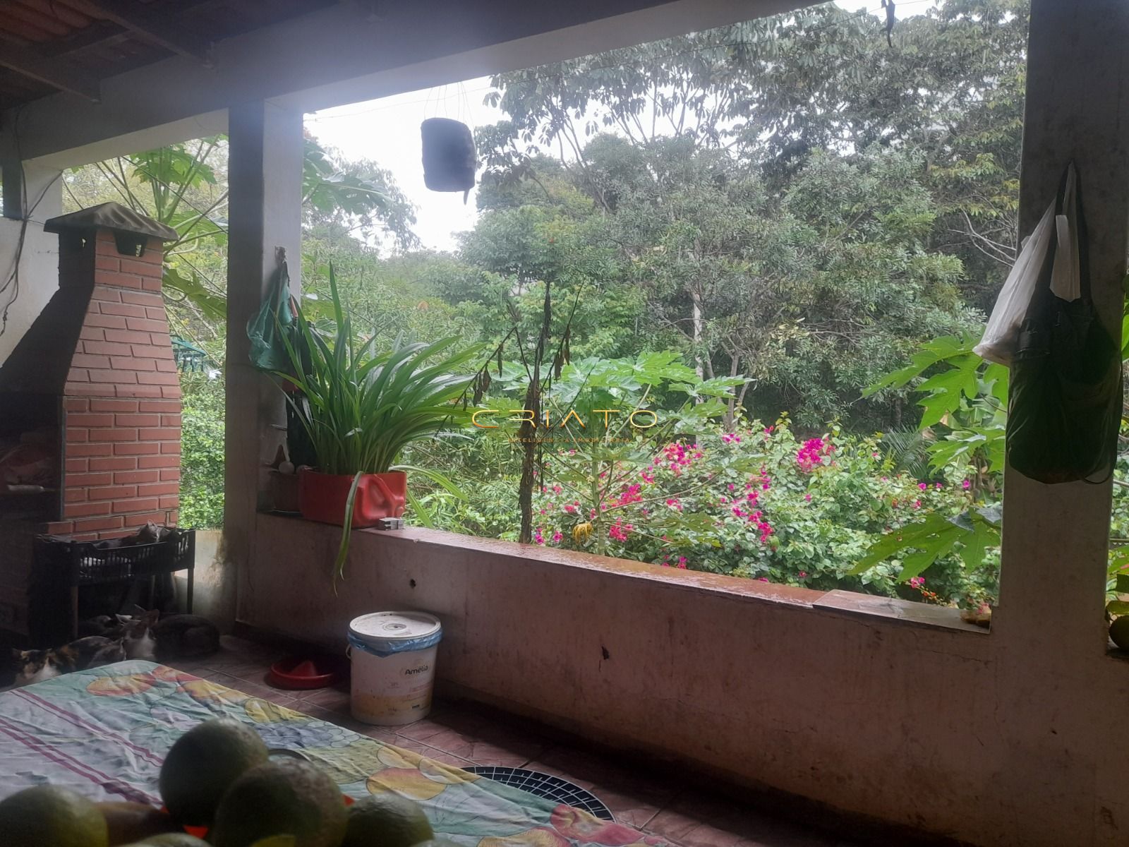 Fazenda, 145 hectares - Foto 8