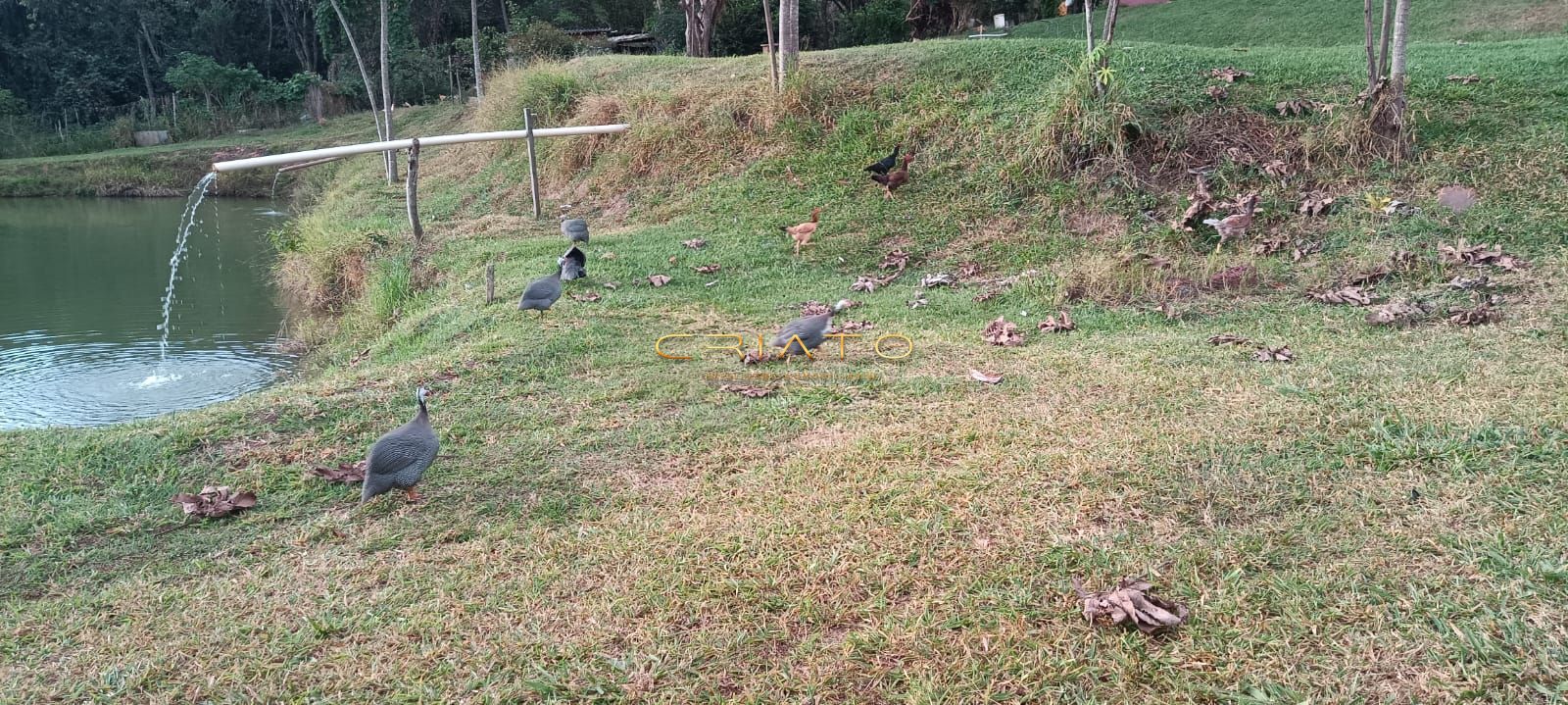Chácara a venda em abadiânia - go