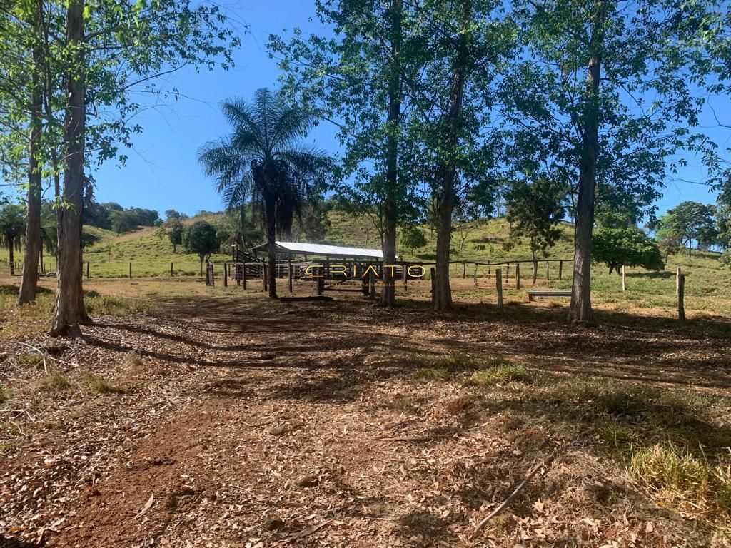 Sítio à venda com 2 quartos, 620000m² - Foto 13