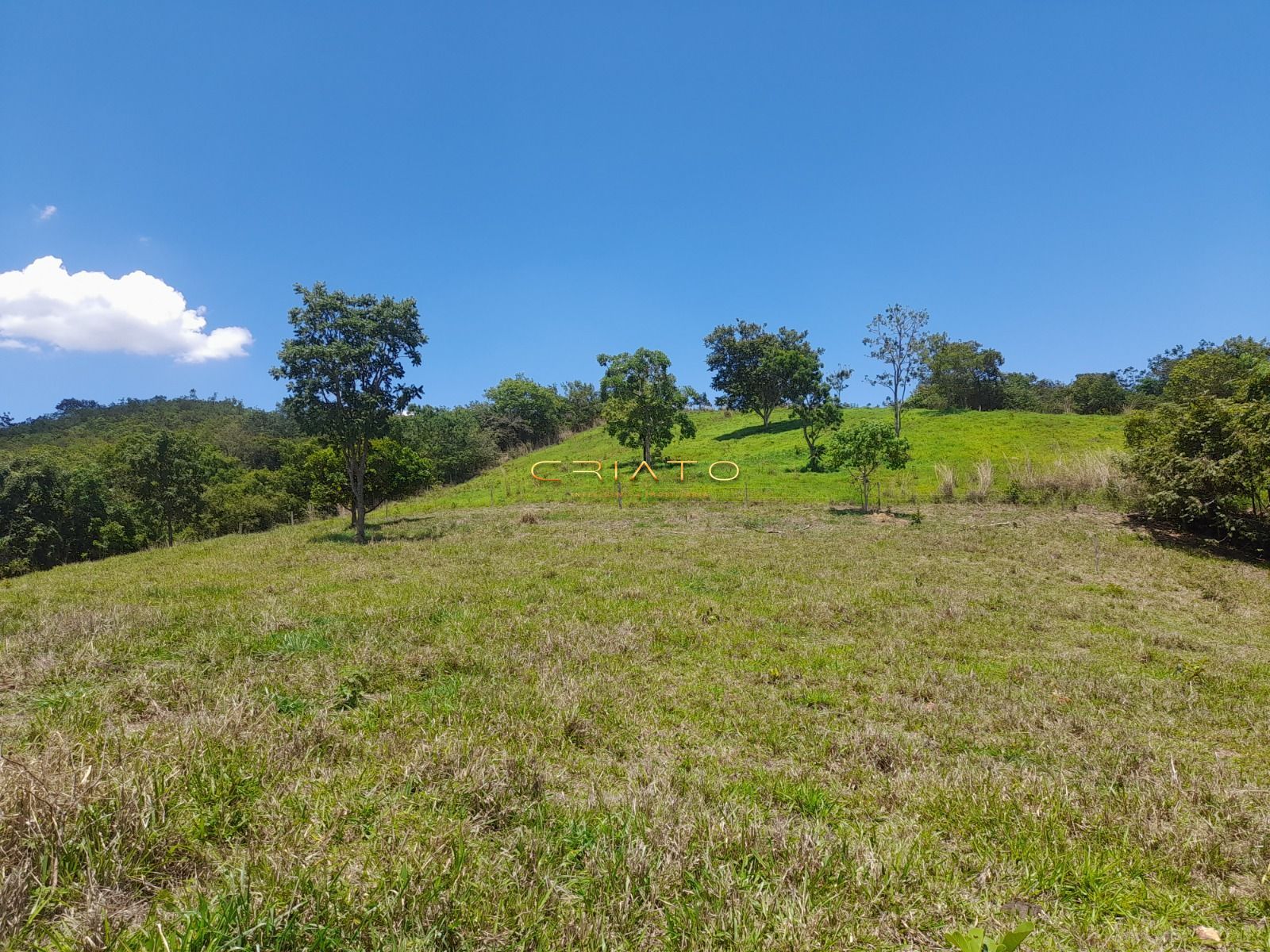 Fazenda, 145 hectares - Foto 18