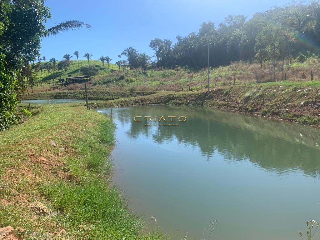 Sítio à venda com 2 quartos, 620000m² - Foto 23