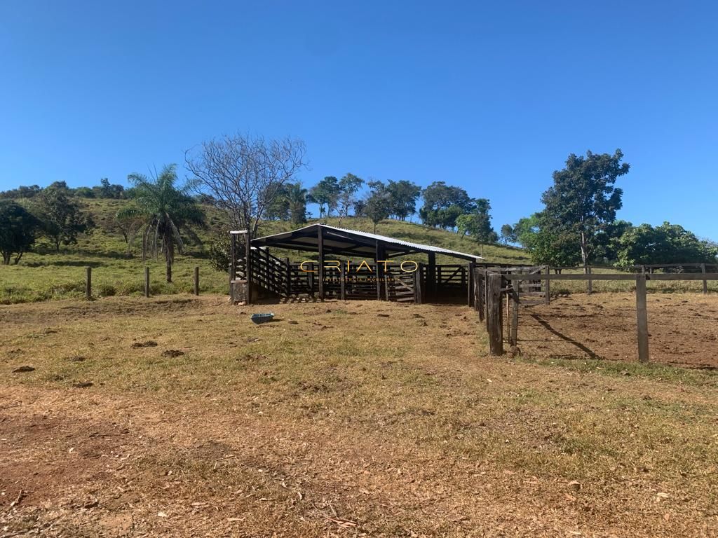 Sítio à venda com 2 quartos, 620000m² - Foto 11