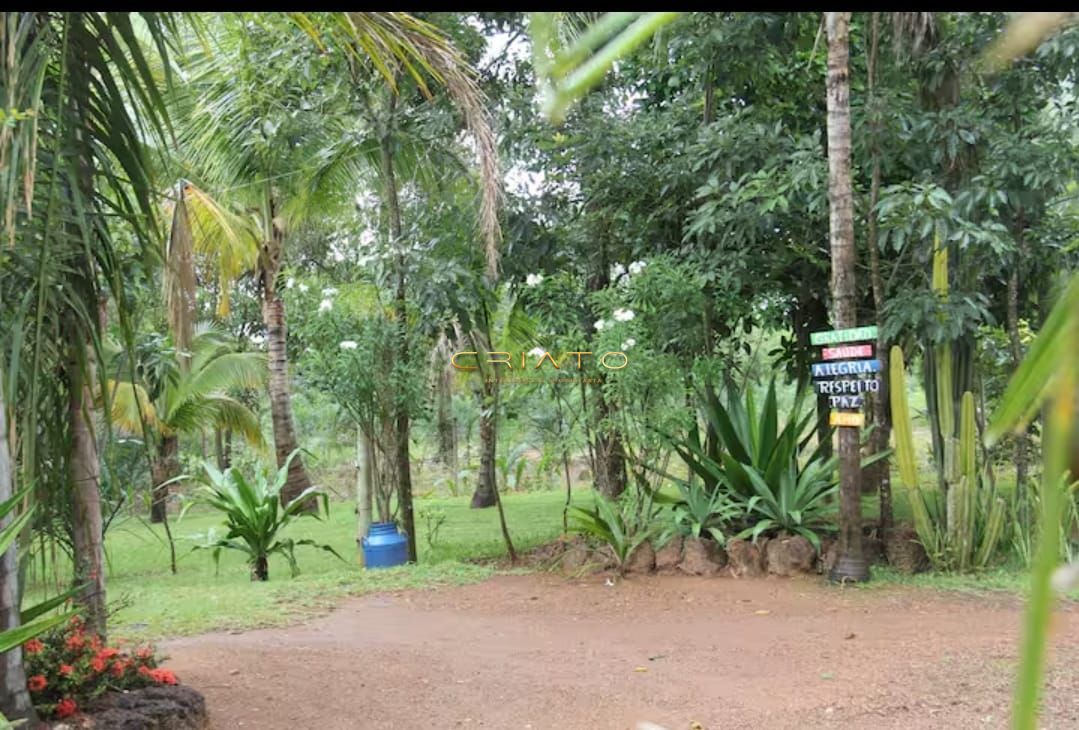 Sítio, 2 quartos, 10 hectares - Foto 18