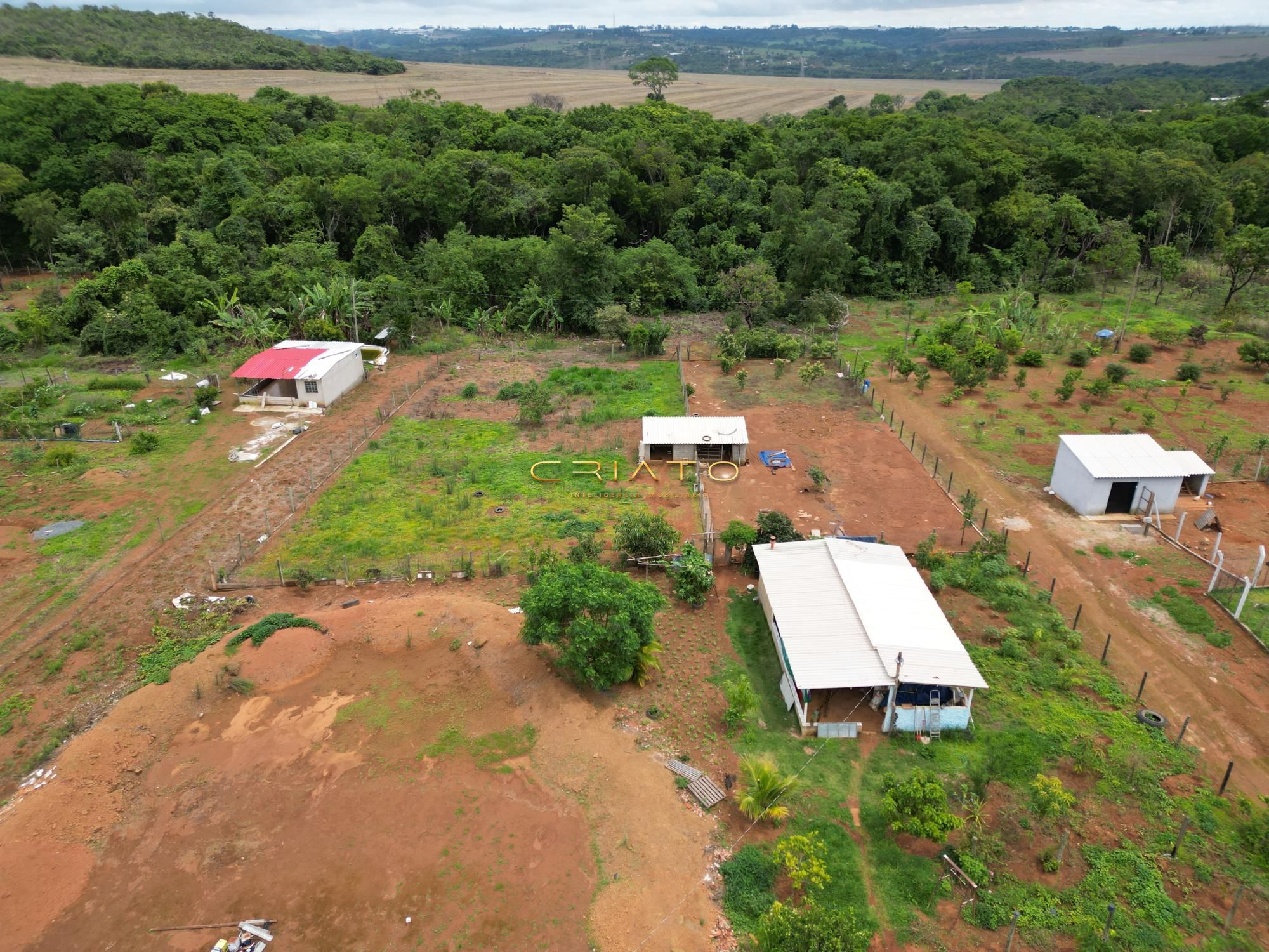 Fazenda à venda com 3 quartos, 130m² - Foto 4